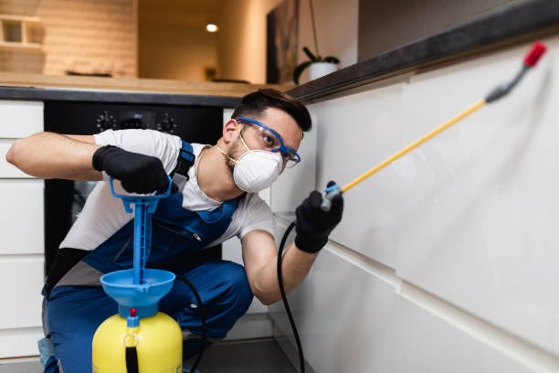 Best Bed Bug Extermination  in Tunnel Hill, GA