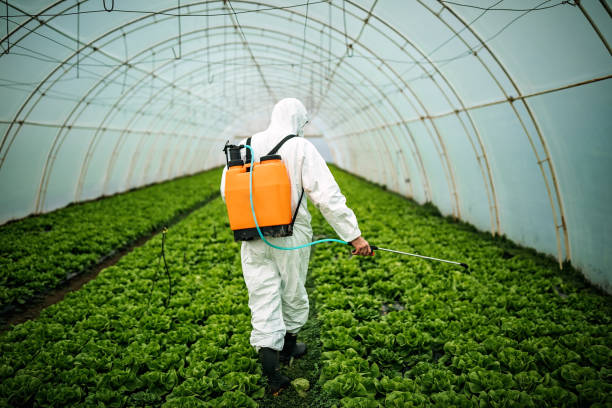 Best Ant Control Services  in Tunnel Hill, GA