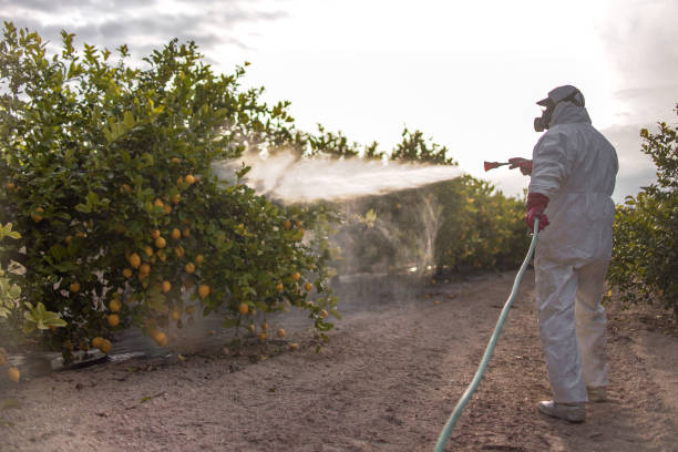 Best Insect Control  in Tunnel Hill, GA