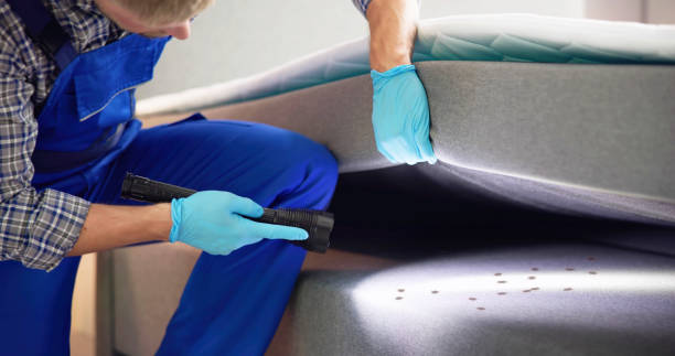 Best Pest Control Near Me  in Tunnel Hill, GA