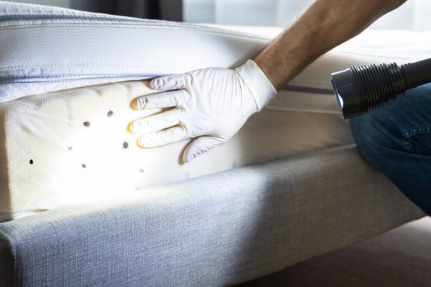 Best Pest Control Near Me  in Tunnel Hill, GA