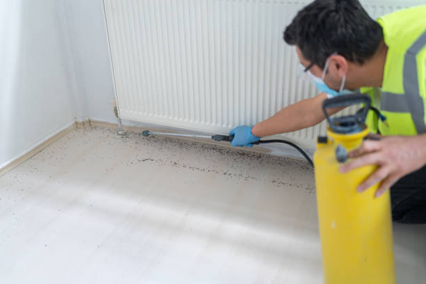 Best Commercial Pest Control Services  in Tunnel Hill, GA
