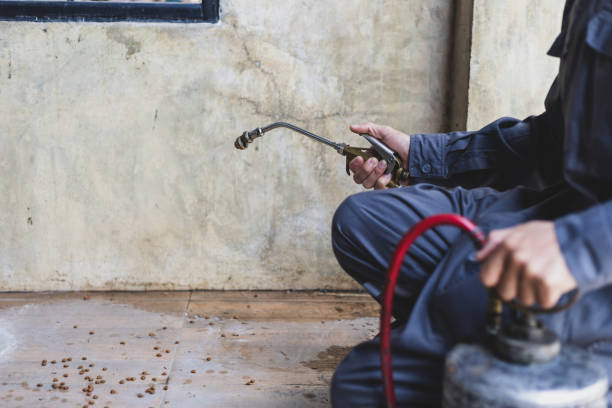 Professional Pest Control in Tunnel Hill, GA
